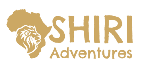 Shiri Adventures