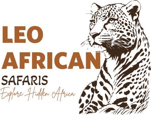 Leo African Safaris