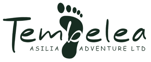 Tembelea Asilia Adventures