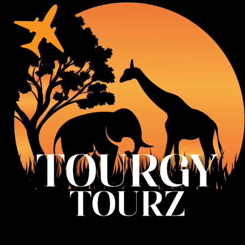 Tourgy Tourz